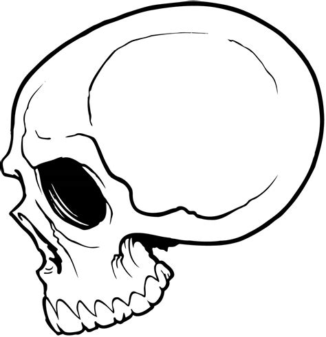 basic skull tattoo designs